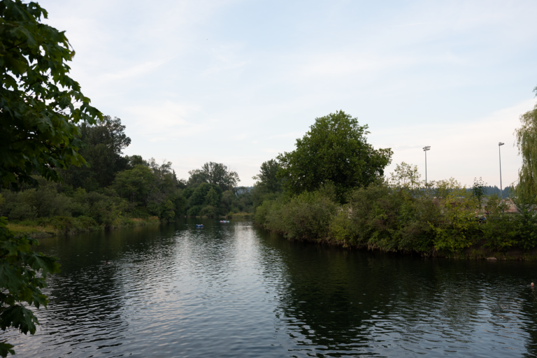 Restoring the Anderton Riverbank, Courtenay presents three design options to the public