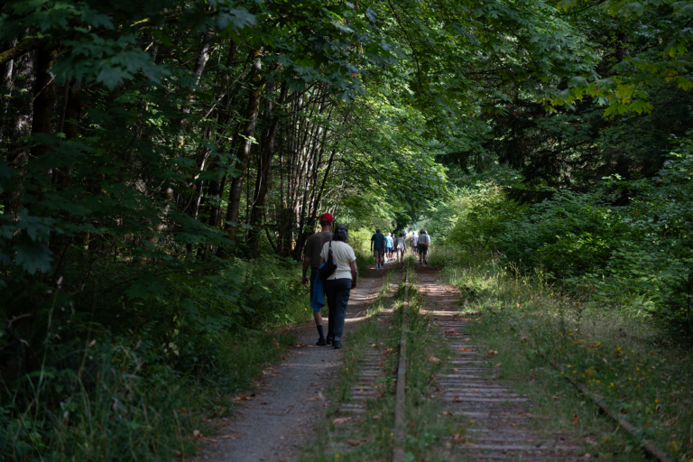 Advocates imagine a new future for the Island Rail Corridor