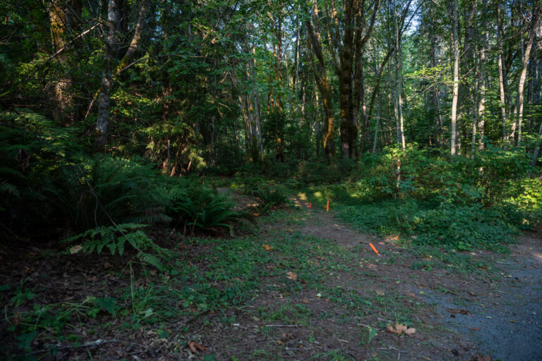 City of Courtenay pauses Bear James Park Trail Project due to community concerns
